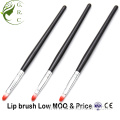 Best Retractable Lip Cosmetic Brush Makeup